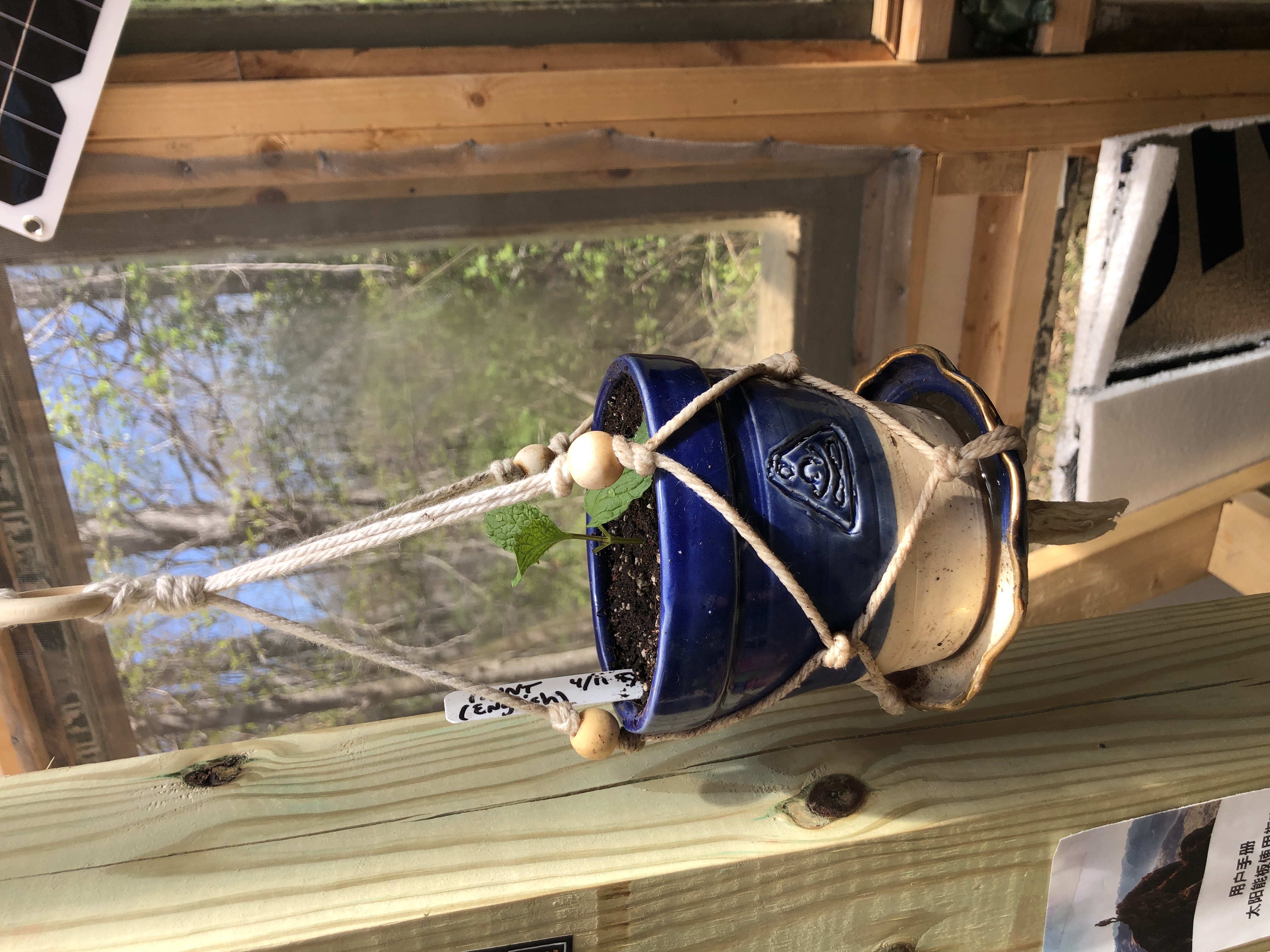 Hanging Zen Planter